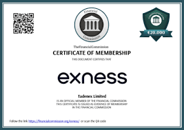 Explore the Opportunities of Exness Uae for Traders Explore the Opportunities of Exness Uae for Traders